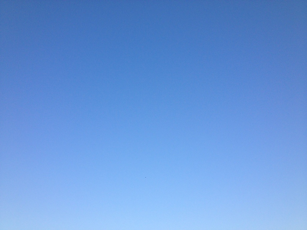 20130706-160746.jpg
