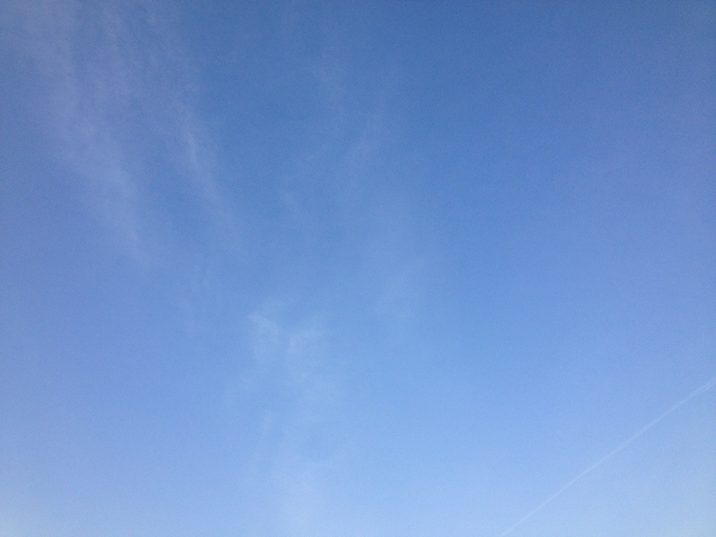 20130719-120452.jpg