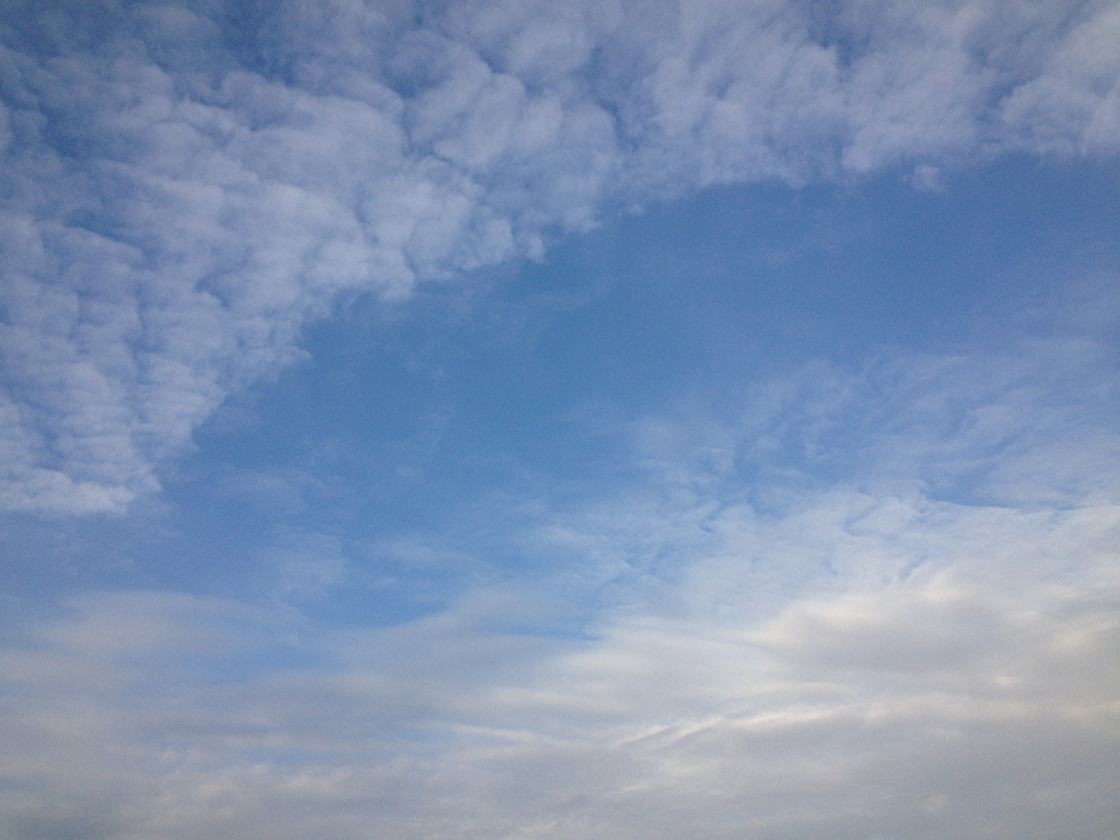 20130719-141132.jpg