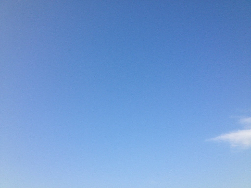 20130719-141651.jpg